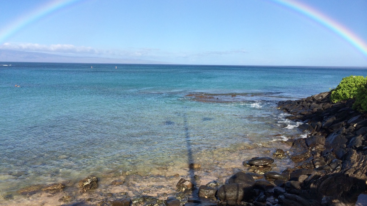 Photo of Others in Napili