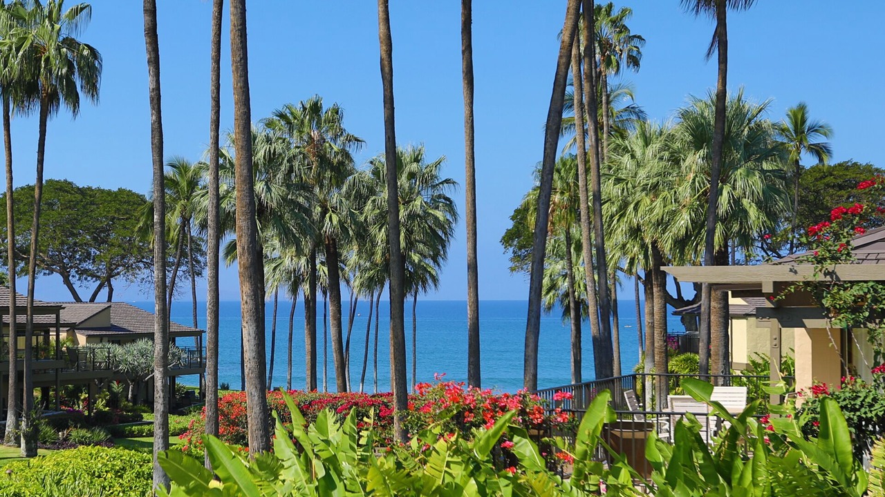 Photo of Others in Wailea