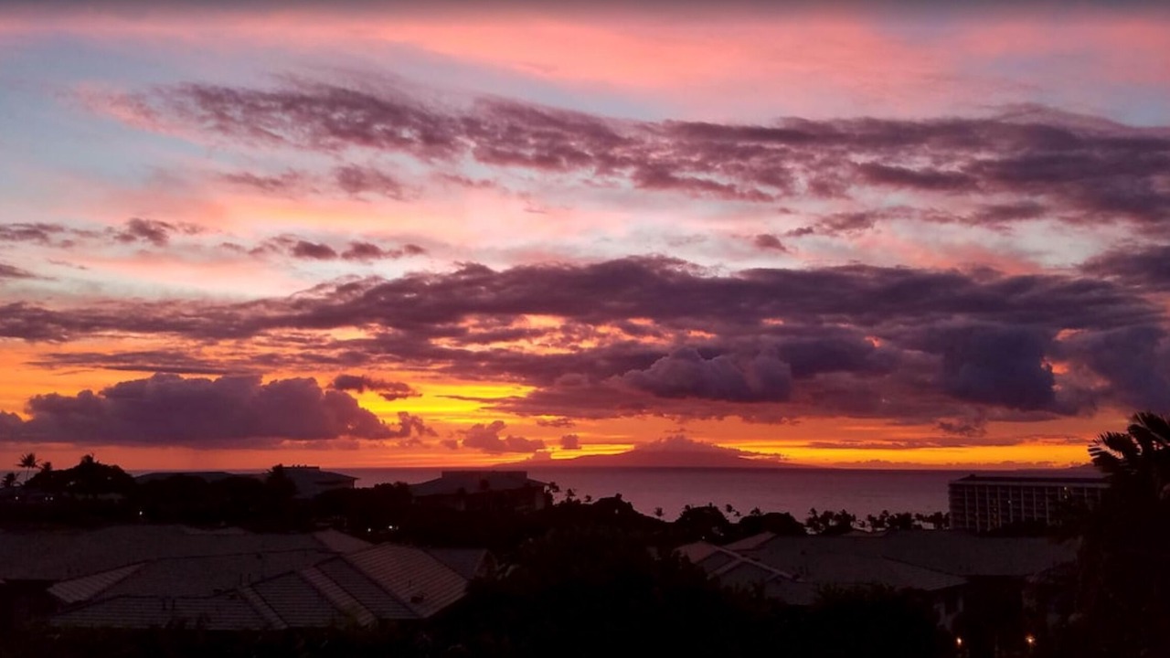 Photo of Others in Wailea