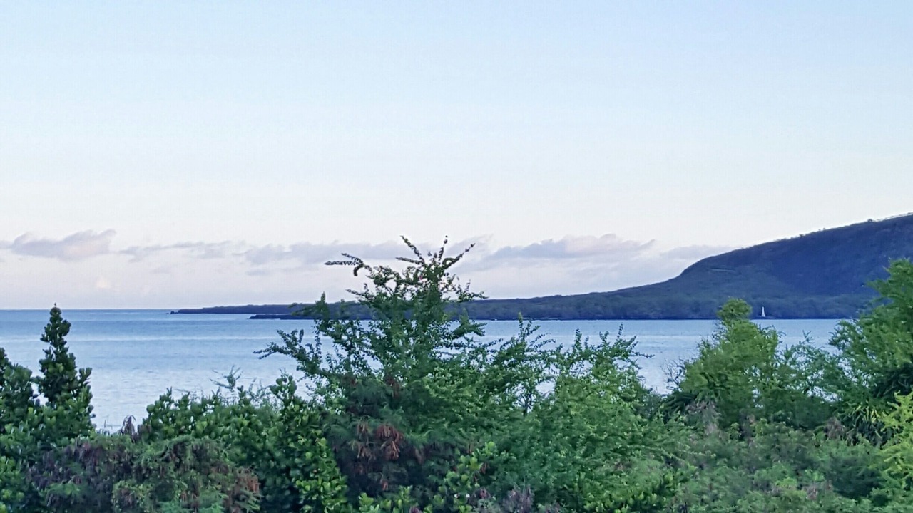 Photo of Others in Honaunau-Napoopoo