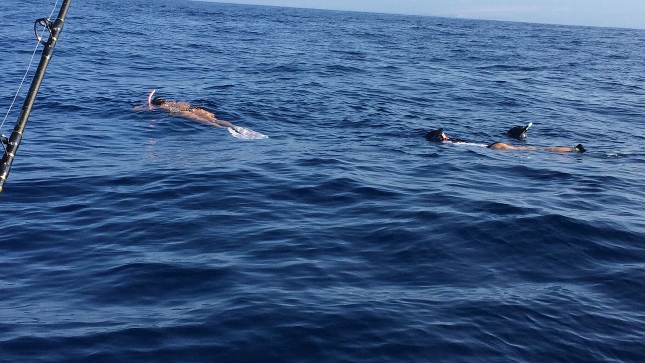 Photo of Others in Honaunau-Napoopoo