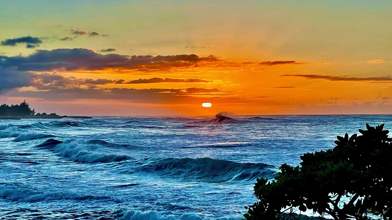 Photo of Others in Kahuku