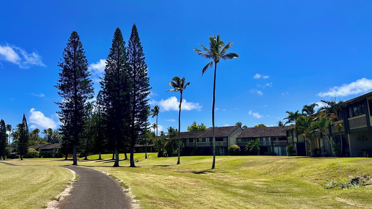 Photo of Outdoor in Kahuku