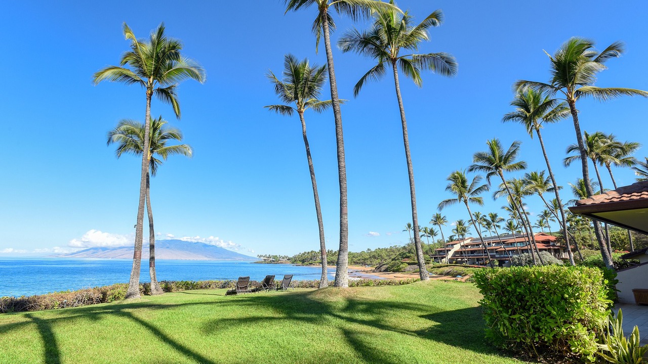 Photo of Outdoor in Wailea
