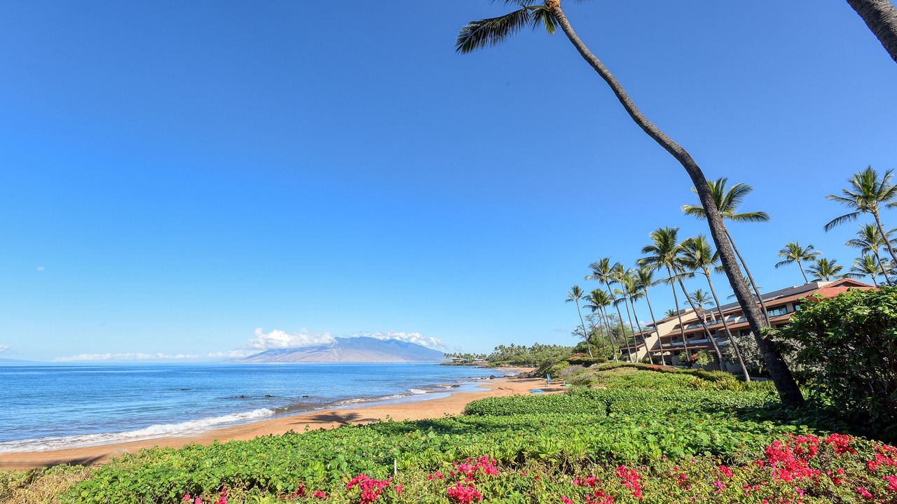 Photo of Others in Wailea