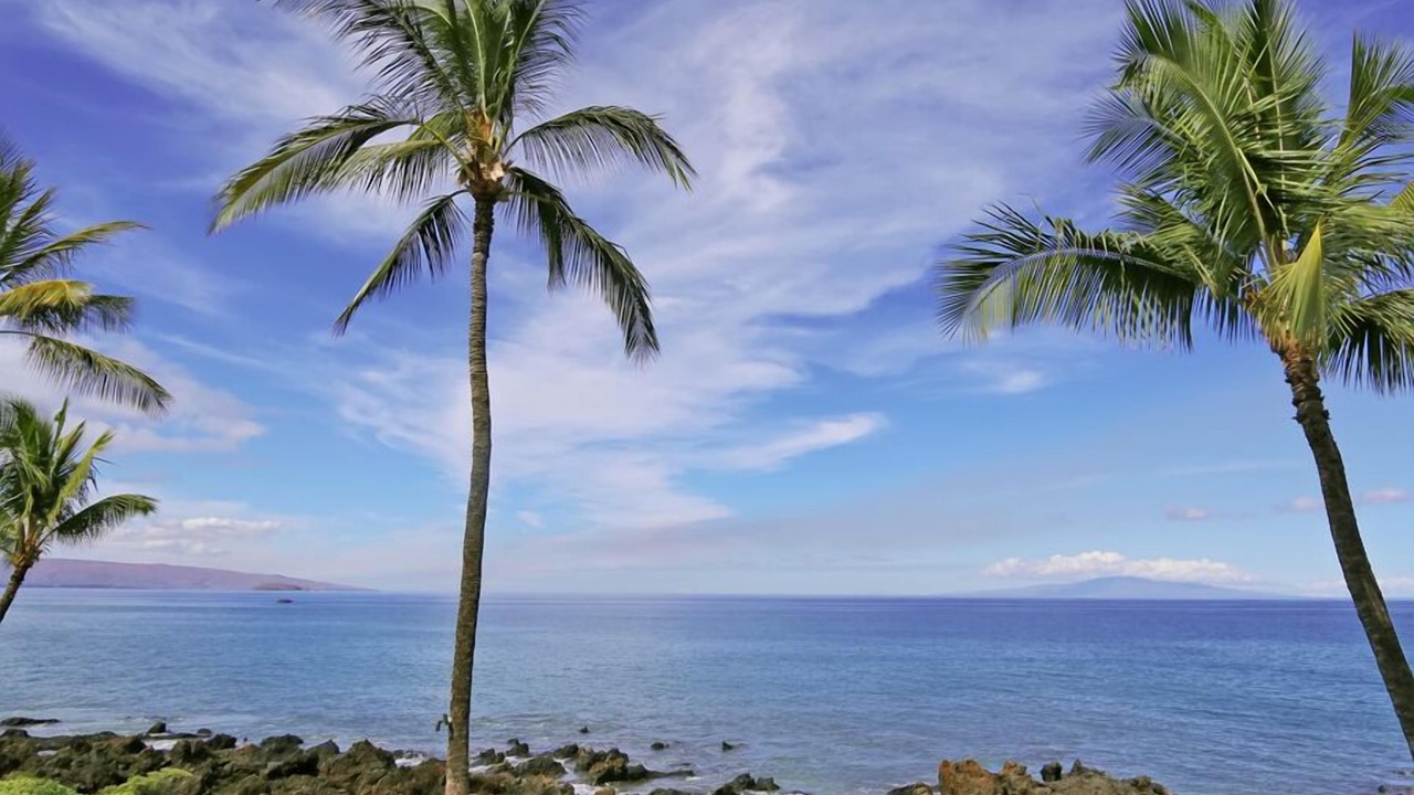 Photo of Others in Wailea