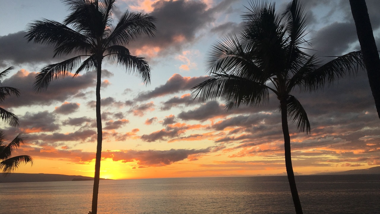 Photo of Others in Wailea