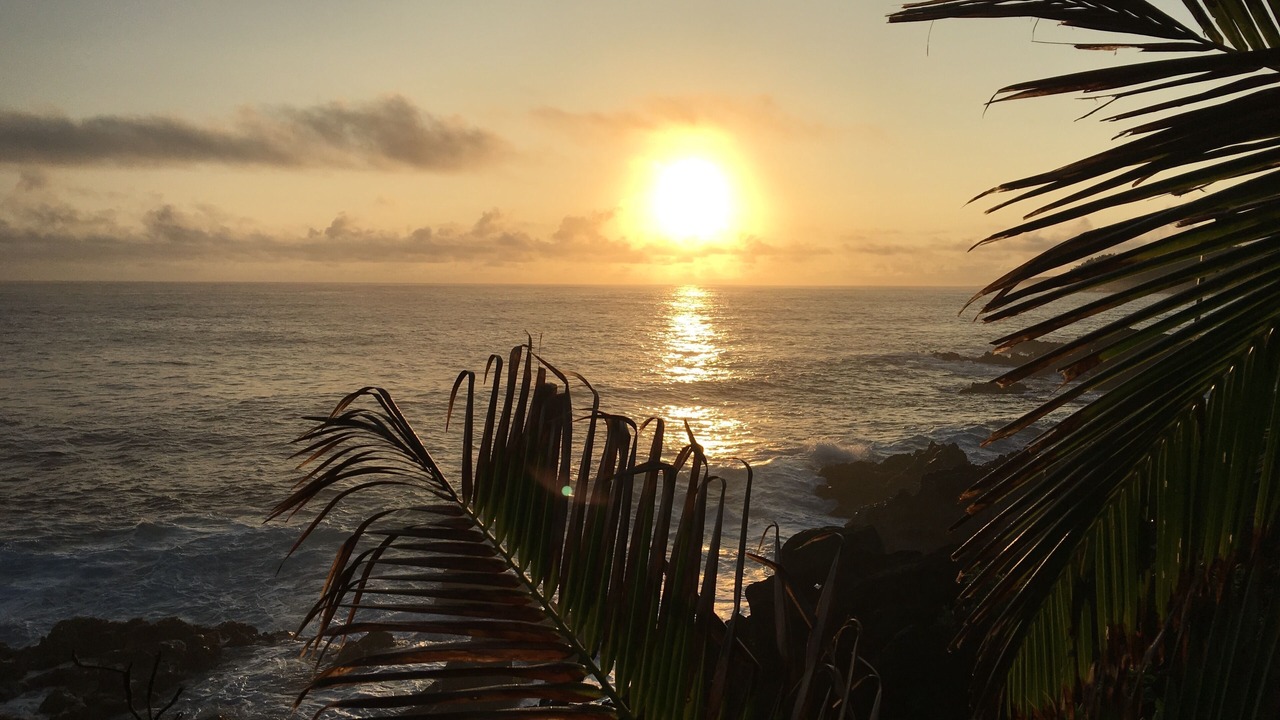 Photo of Others in Kapoho