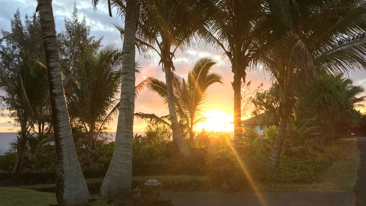 Photo of Others in Kapoho