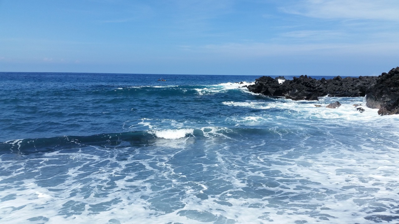 Photo of Others in Kona Paradise