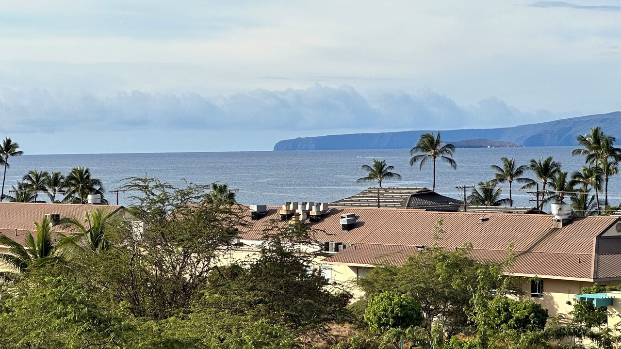 Photo of Others in Kihei