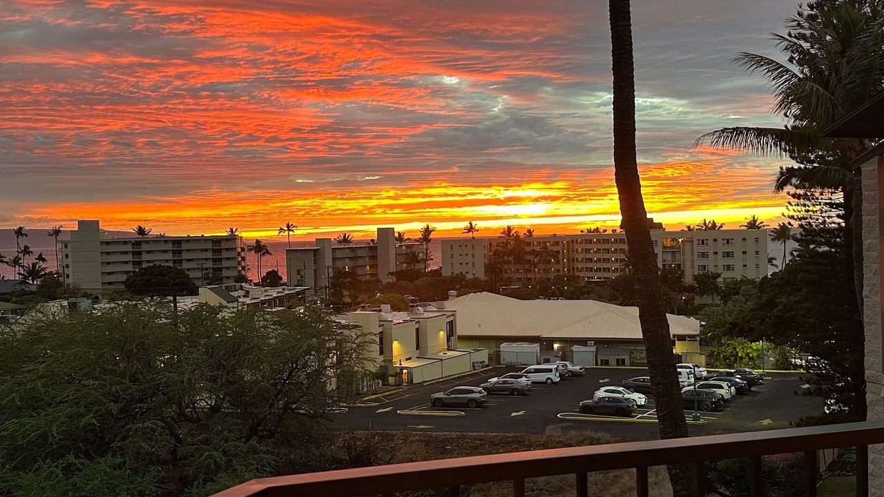 Photo of Outdoor in Kihei