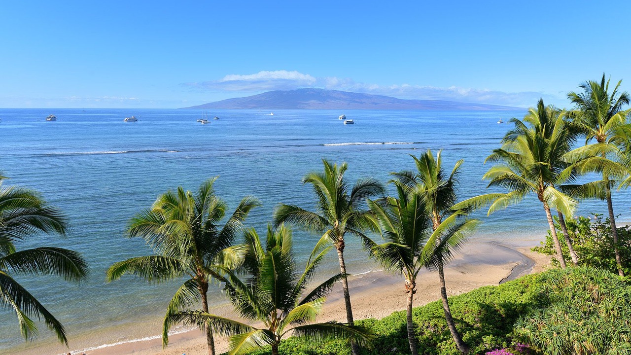 Photo of Others in Historic Lahaina Front Street