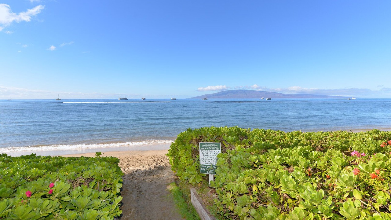 Photo of Others in Historic Lahaina Front Street