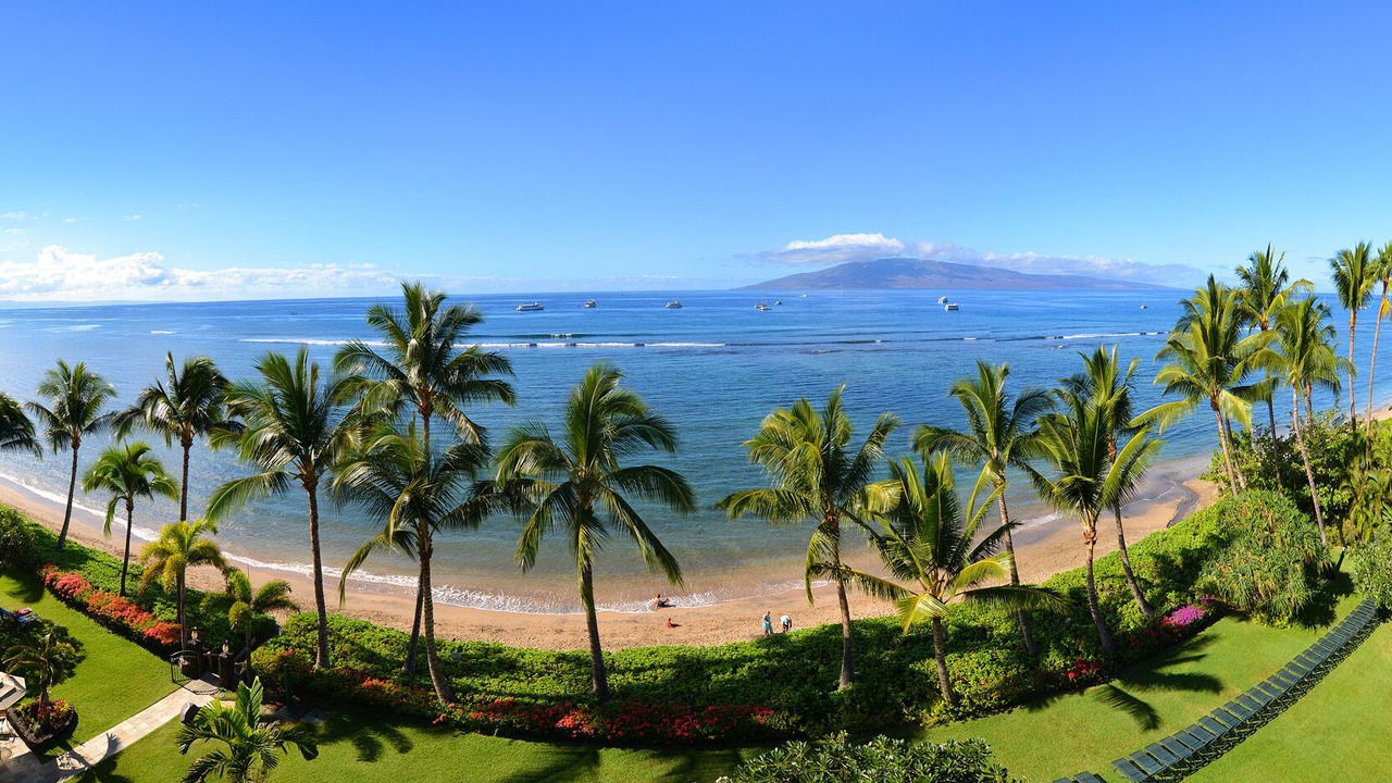 Photo of Others in Historic Lahaina Front Street