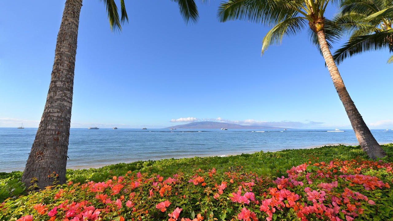 Photo of Others in Historic Lahaina Front Street