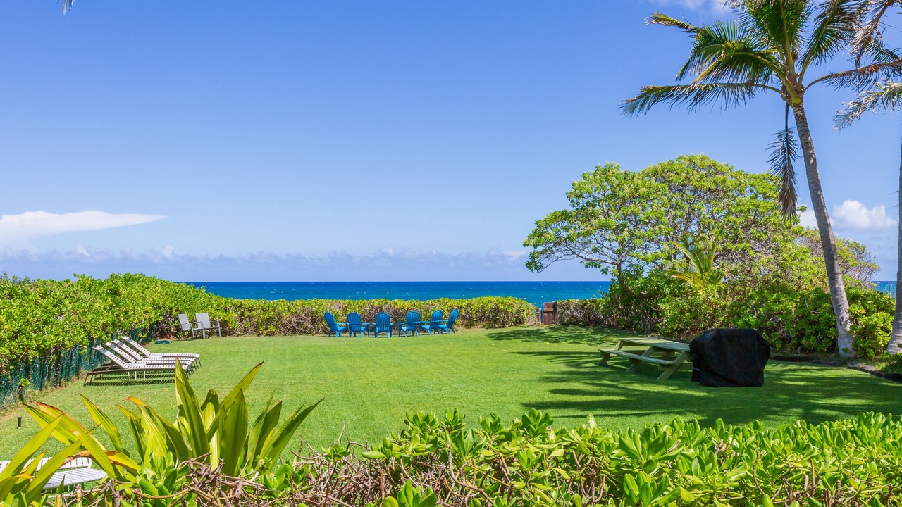Photo of Others in Waialua
