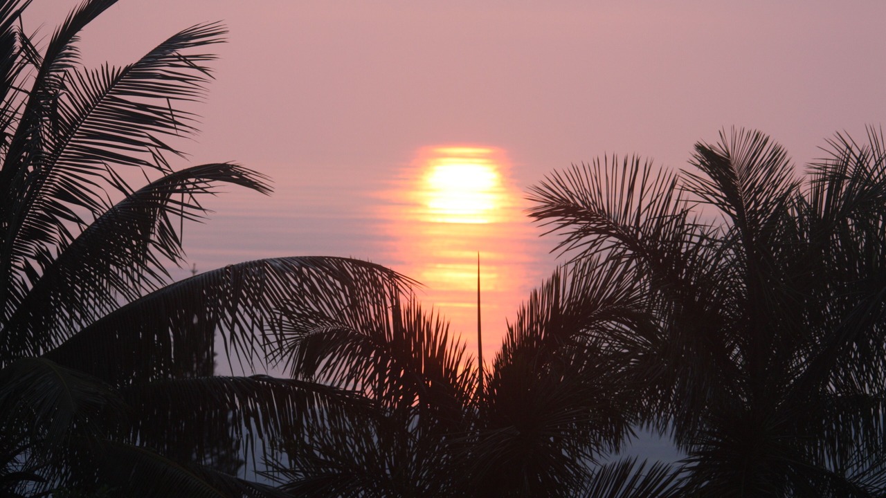 Photo of Others in Kona Palisades