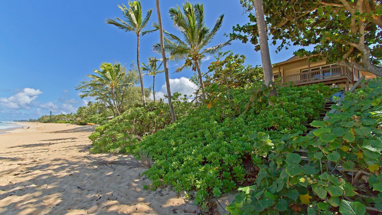 Photo of Others in Pupukea