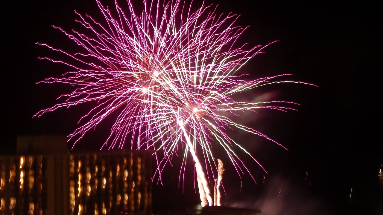 Photo of Others in Waikiki