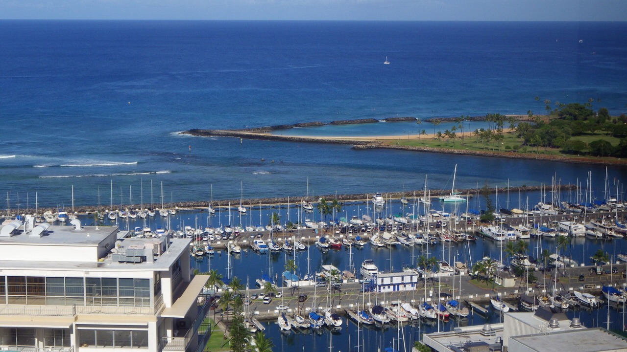 Photo of Others in Waikiki