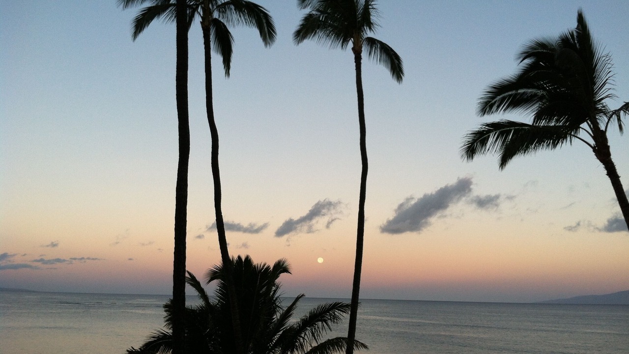 Photo of Others in Kihei