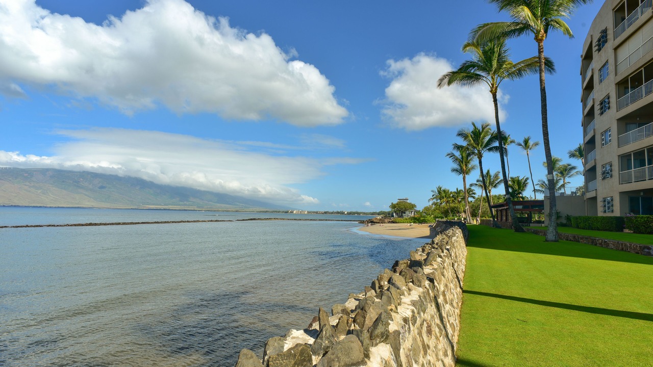Photo of Others in Kihei