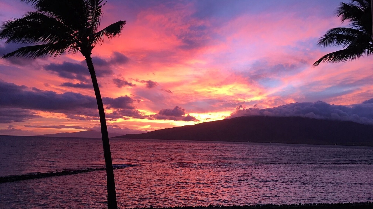 Photo of Others in Kihei