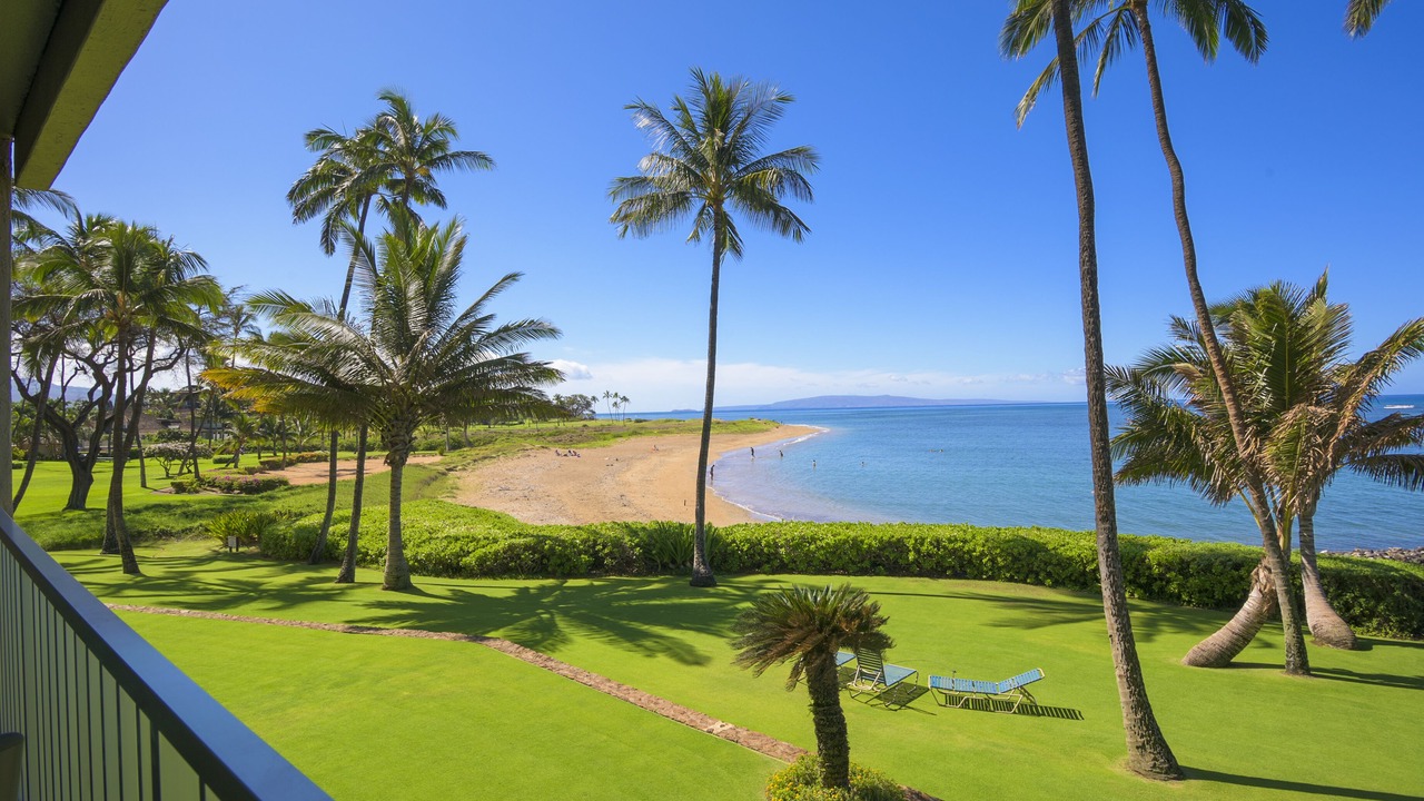 Photo of Others in Kihei