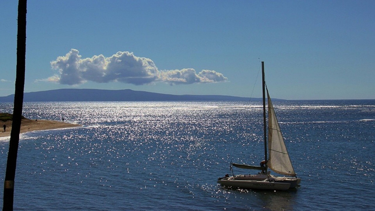 Photo of Others in Kihei