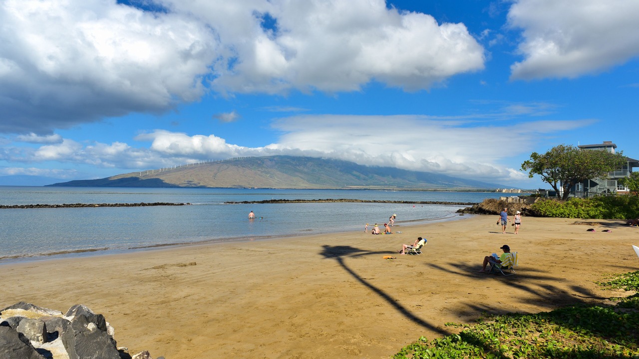 Photo of Others in Kihei