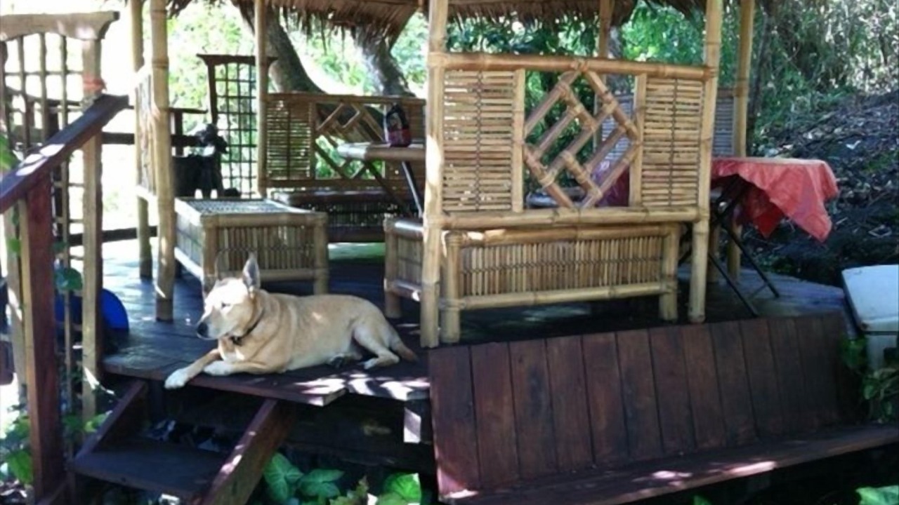 Photo of Outdoor in Captain Cook