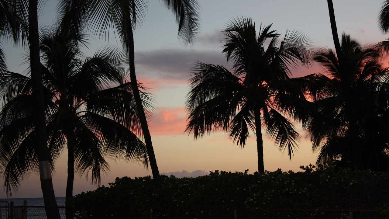 Photo of Others in Makaha