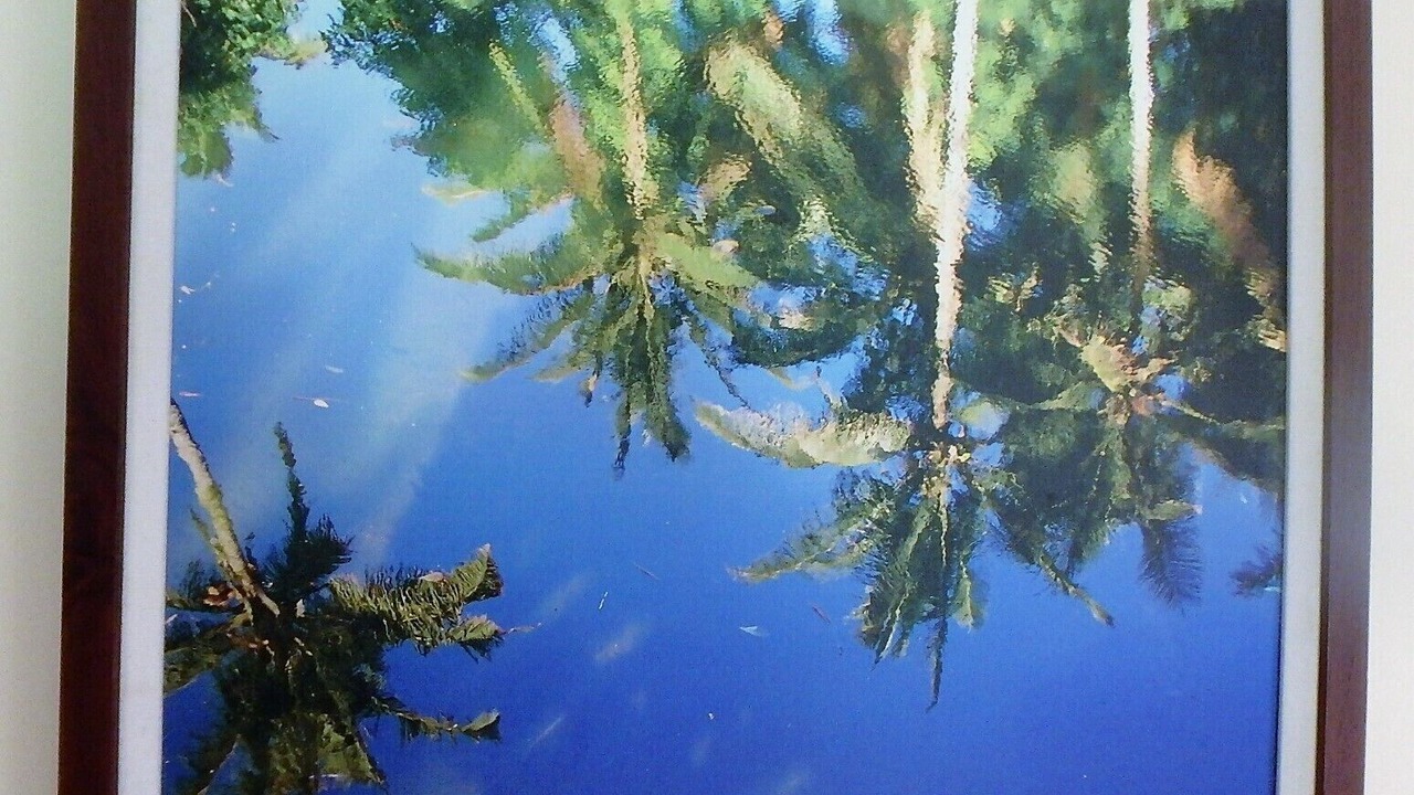 Photo of Others in Kapoho