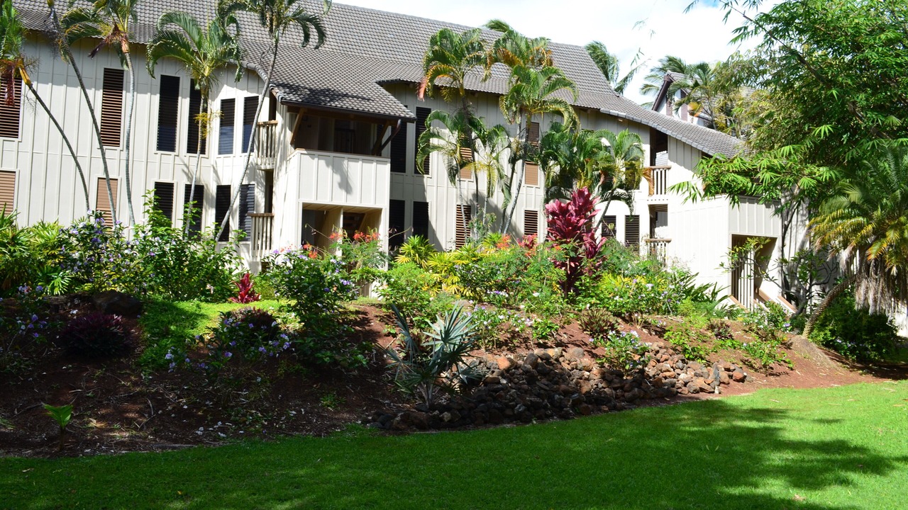 Photo of Others in Poipu