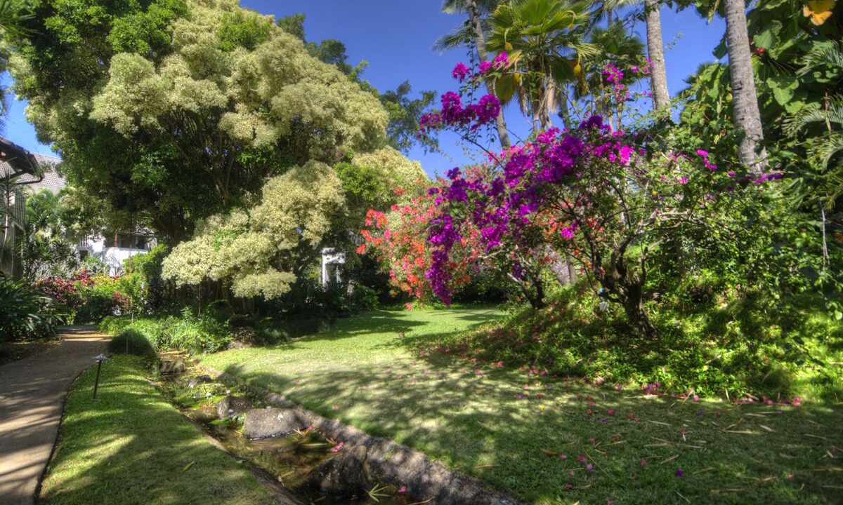 Photo of Outdoor in Poipu