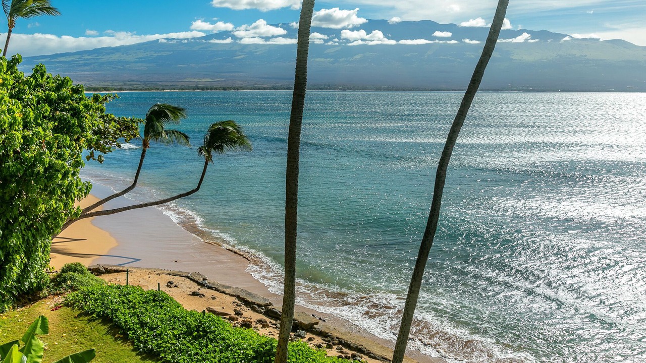 Photo of Others in Maalaea