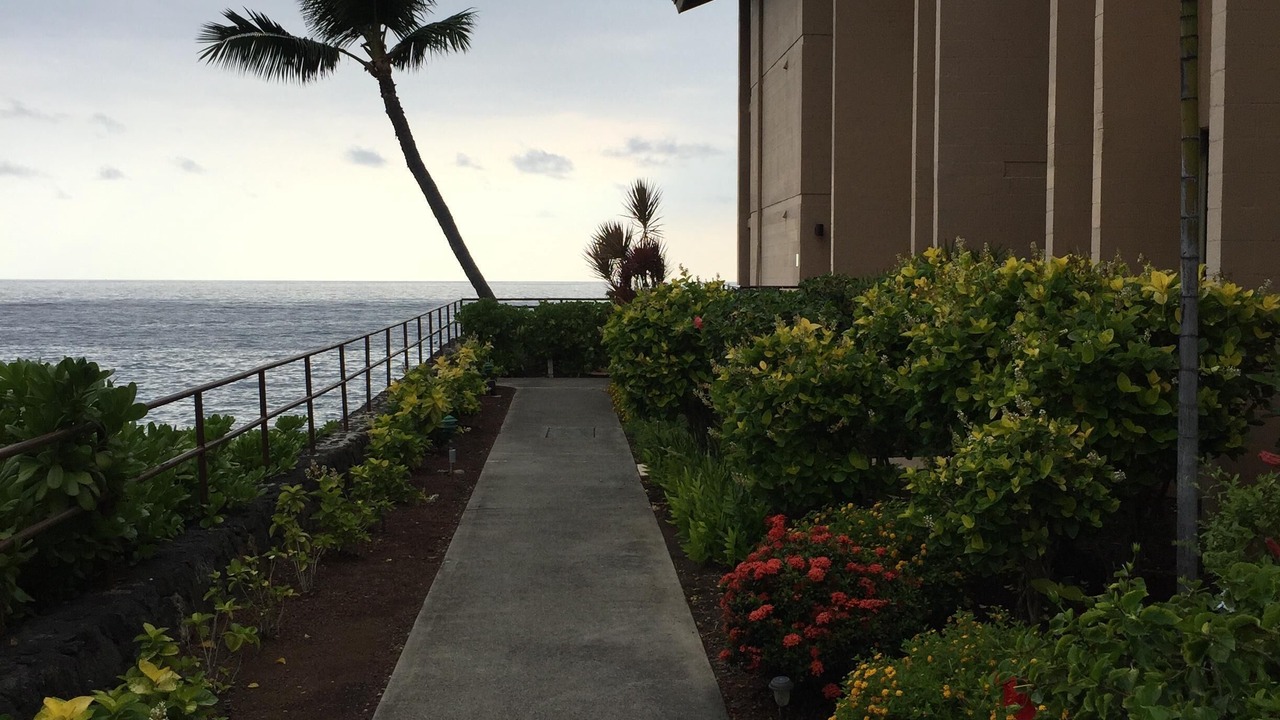 Photo of Others in Kailua-Kona