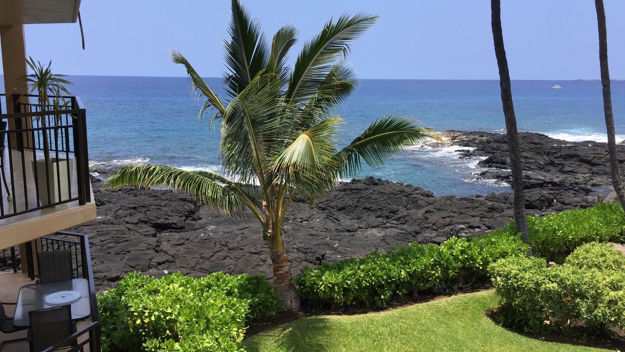Photo of Others in Kailua-Kona