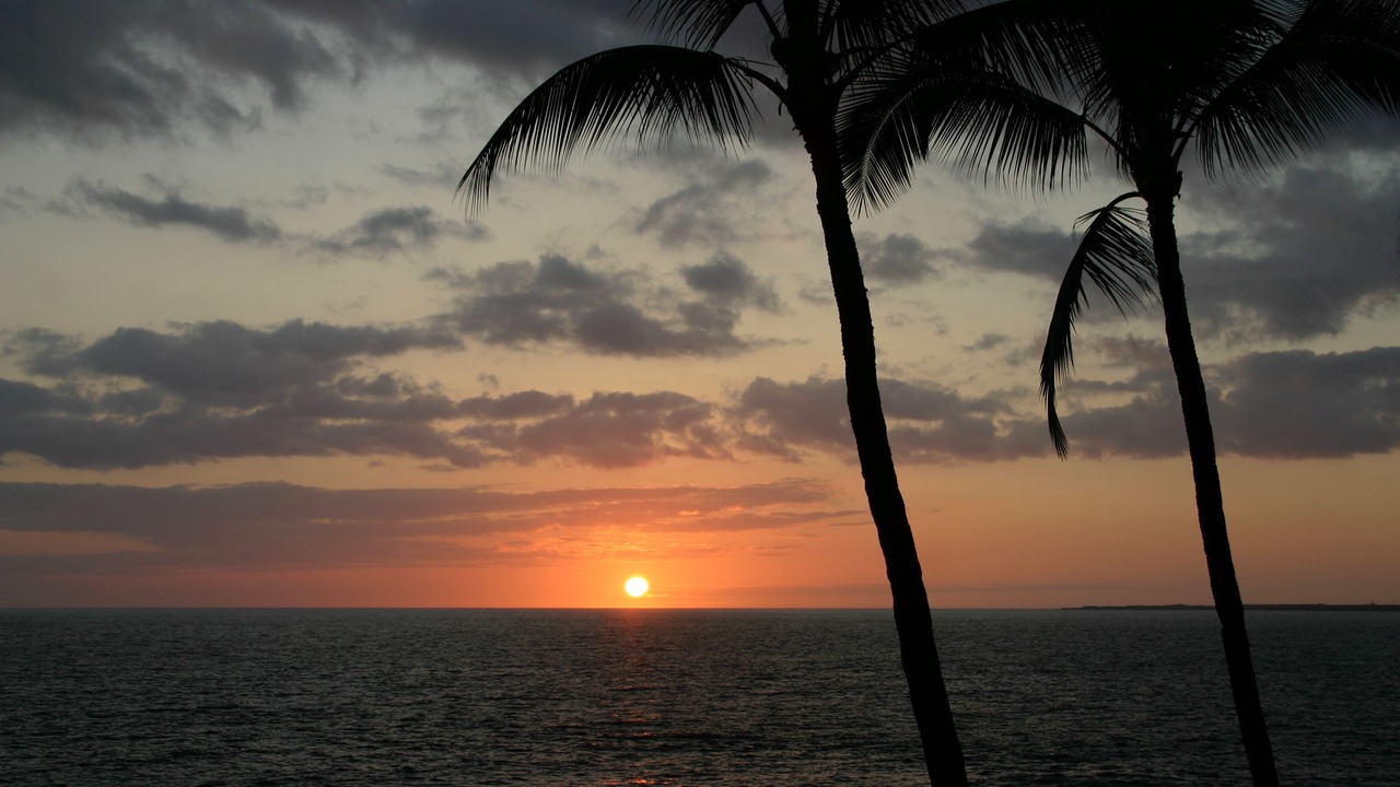 Photo of Others in Kailua-Kona
