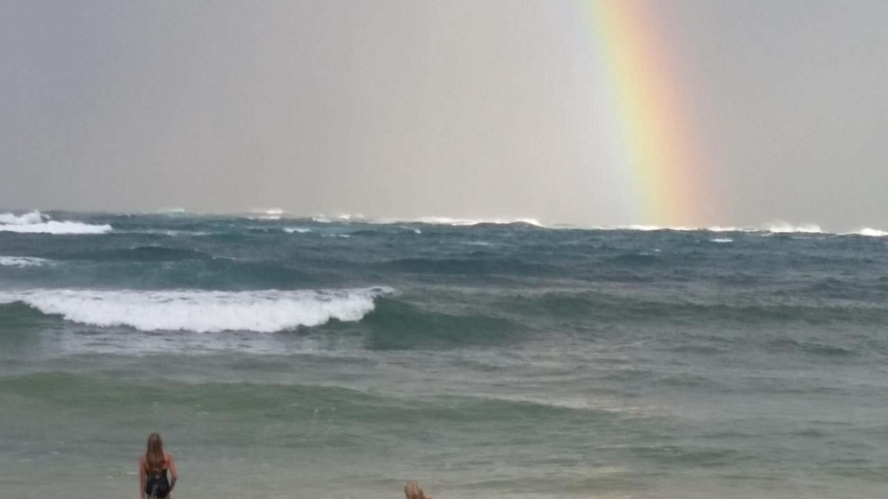 Photo of Others in Laie