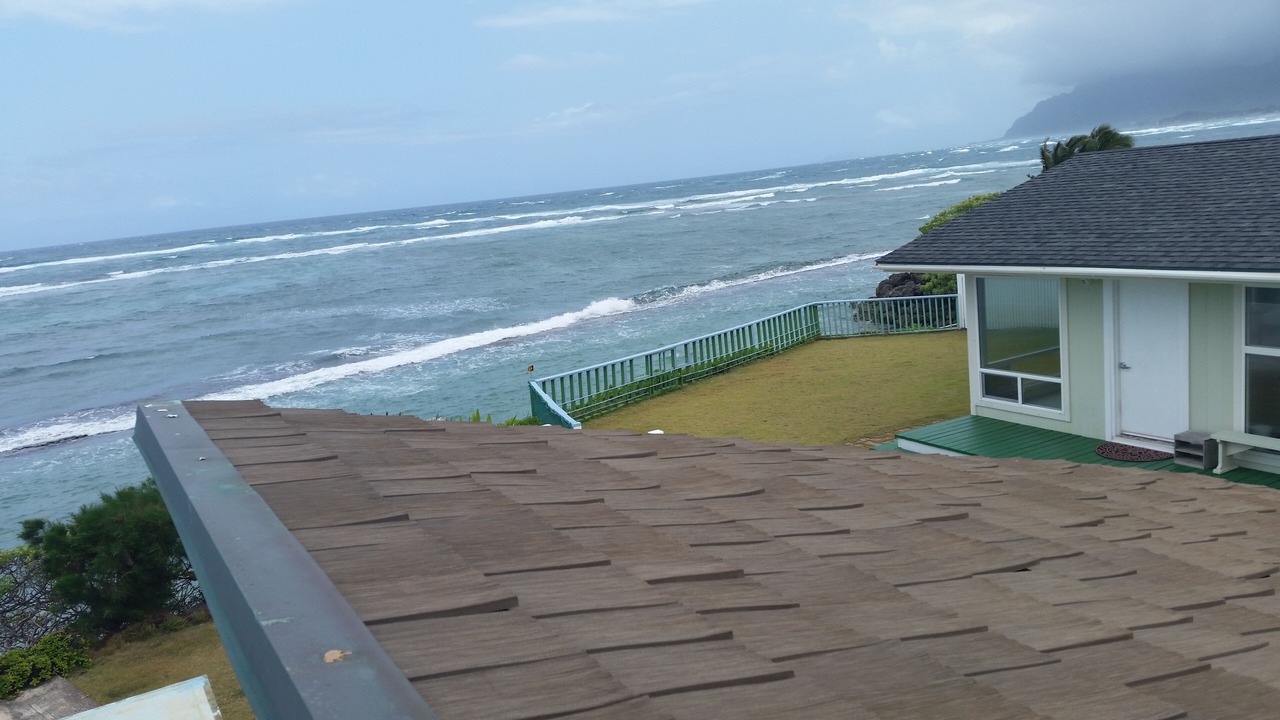 Photo of Others in Laie