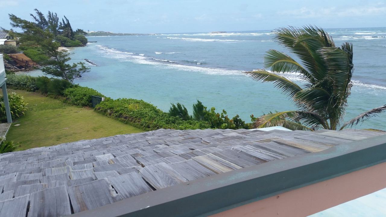 Photo of Others in Laie