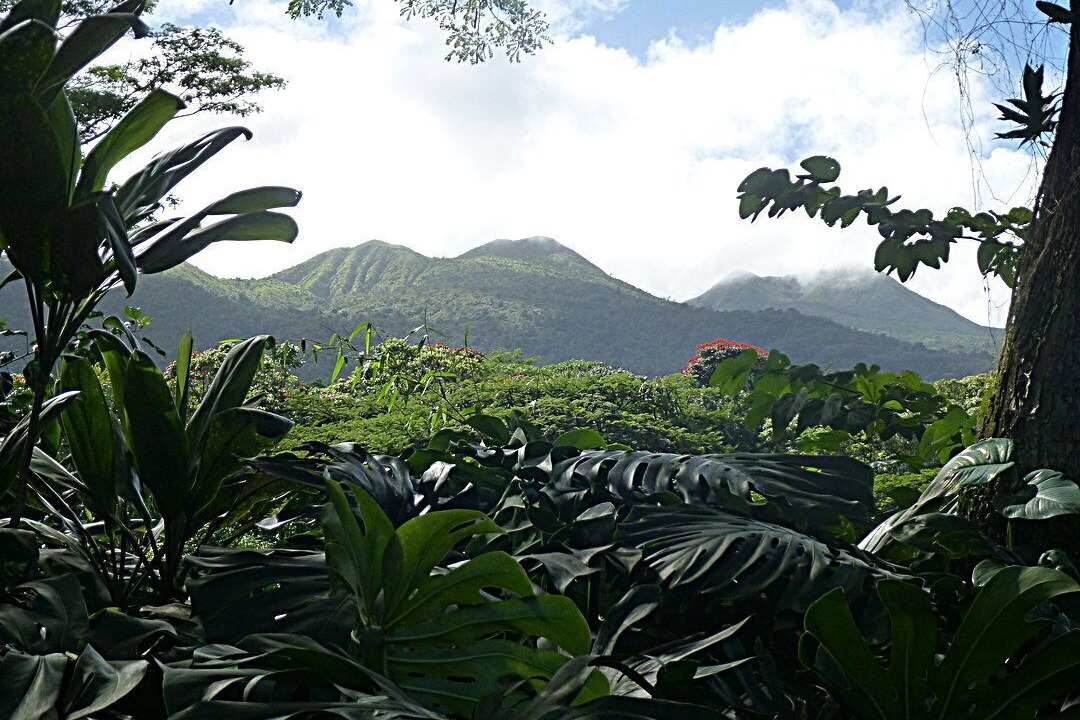 Photo of Others in Hana