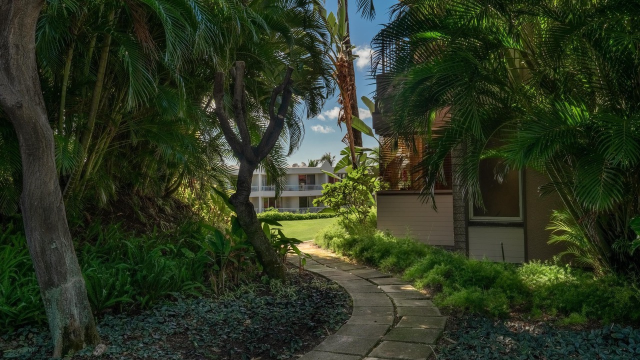 Photo of Outdoor in Wailea