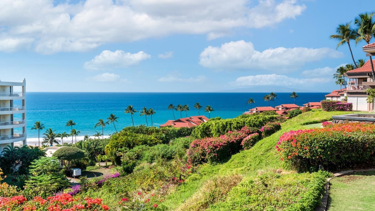 Photo of Outdoor in Wailea