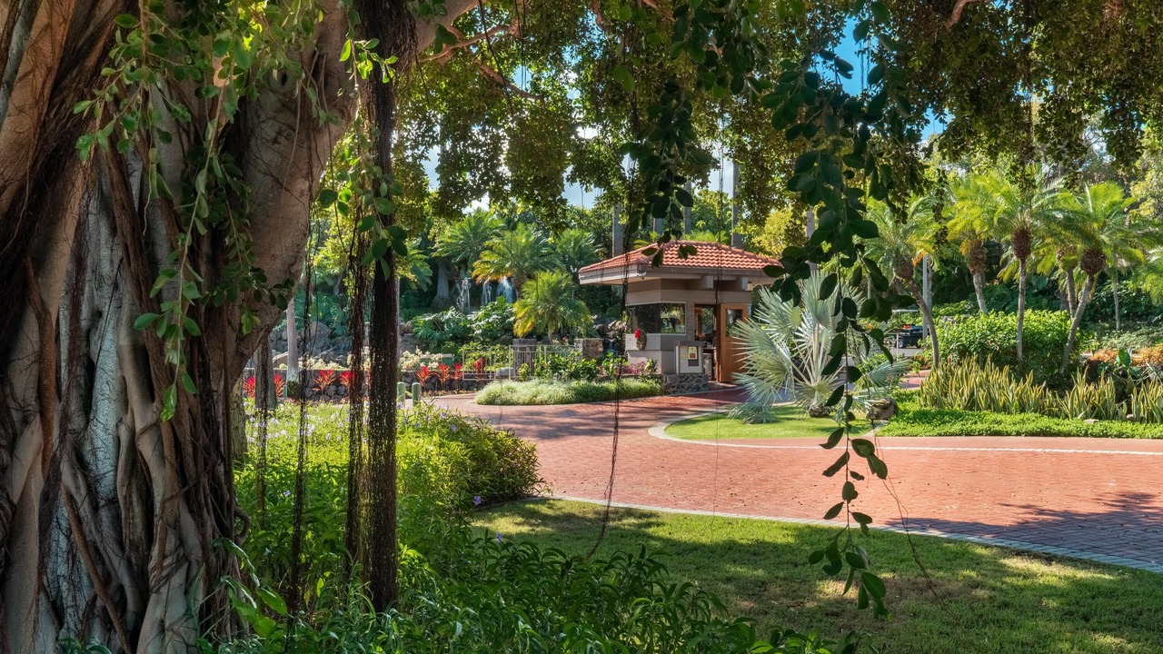 Photo of Outdoor in Wailea