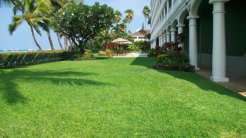 Photo of Others in Historic Lahaina Front Street