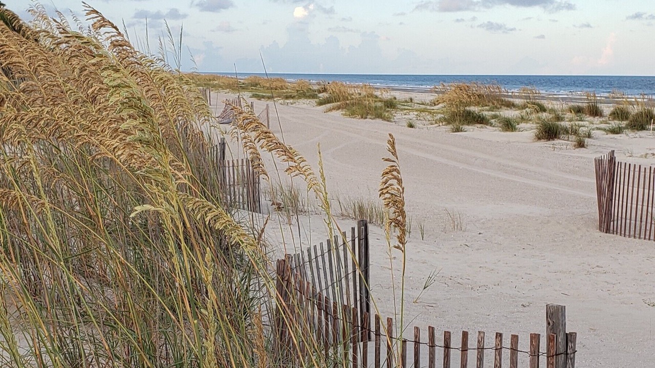 Photo of Others in Beach Lagoon