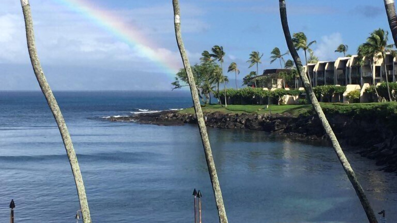 Photo of Outdoor in Napili